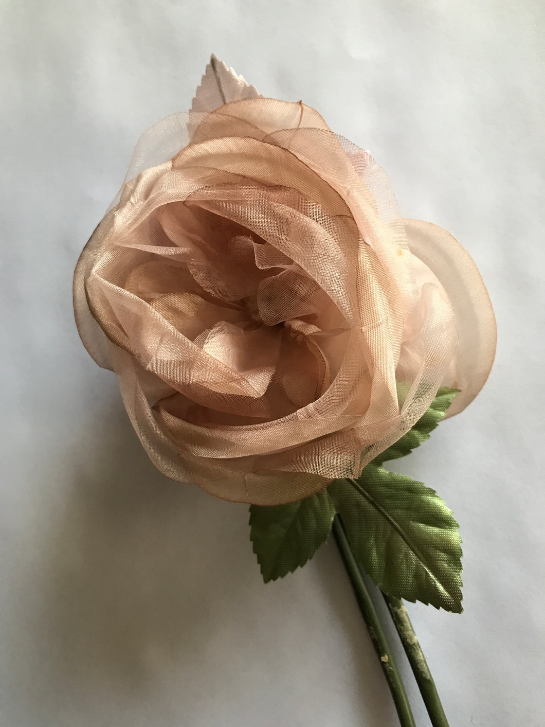 Flower Soft Rose - Latte Code 12