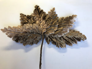 Vintage Velvet Leaves Delicate - Brown Tonings