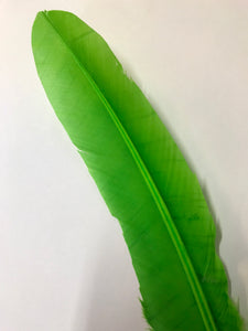 Turkey Wing Feather Lime Green