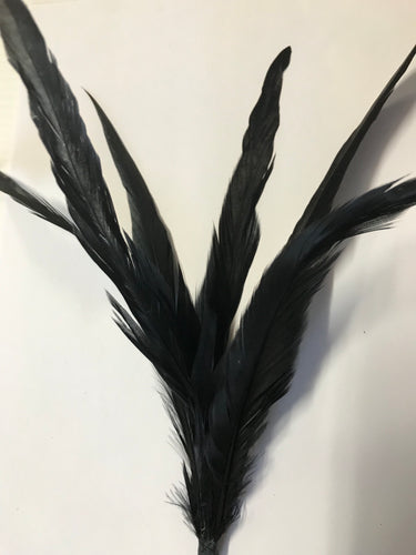 Coque Feathers Non-Stripped Black