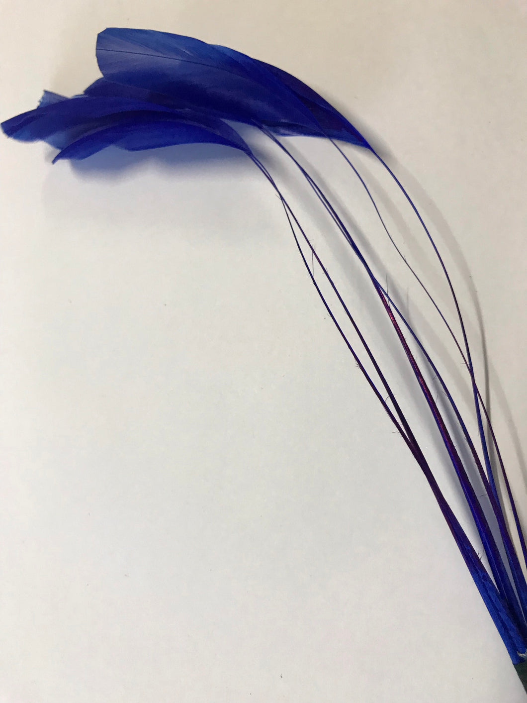 Coque Feathers Stripped Royal Blue