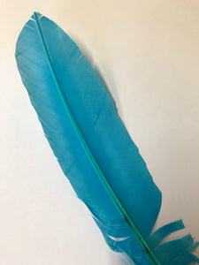 Turkey Wing Feather Aqua