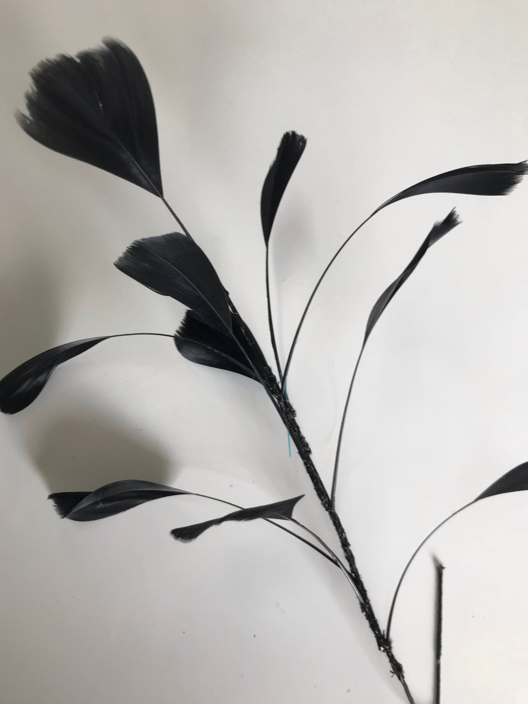 Feather Branch Black