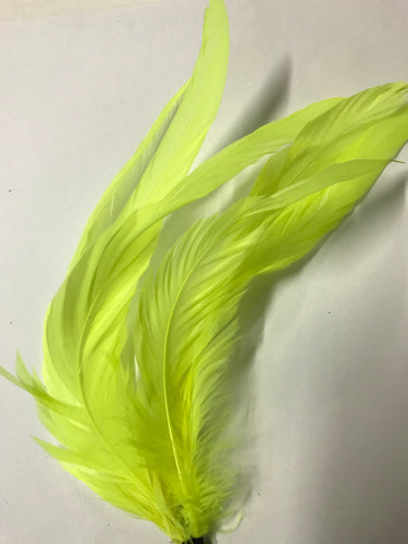 Coque Feathers Non-Stripped Neon