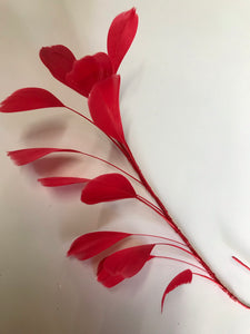 Feather Branch Dark Red