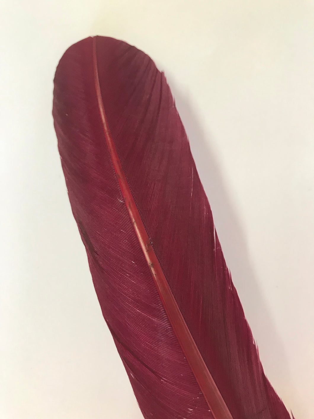 Turkey Wing Feather Plum