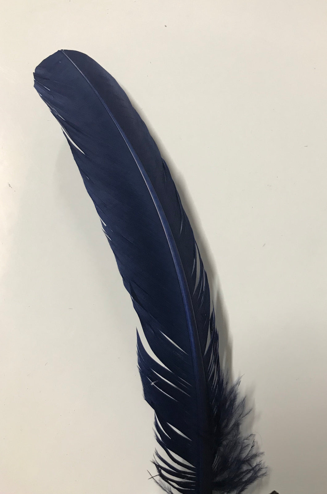 Turkey Wing Feather Navy