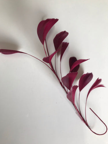 Feather Branch Burgundy