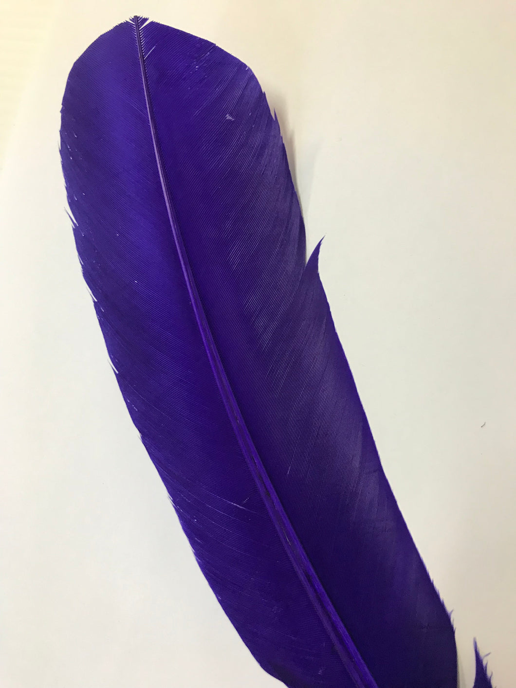 Turkey Wing Feather Deep Purple