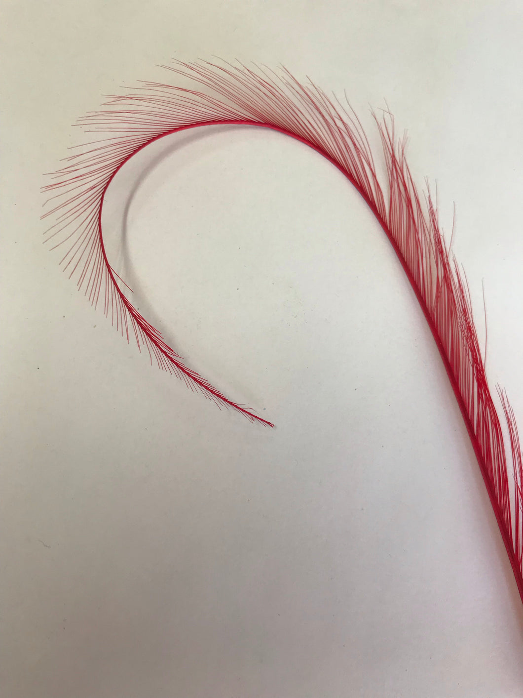 Curly Burnt Pheasant Feather Dark Red