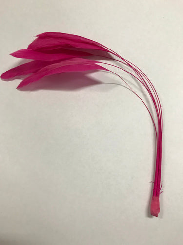 Coque Feathers Stripped Magenta