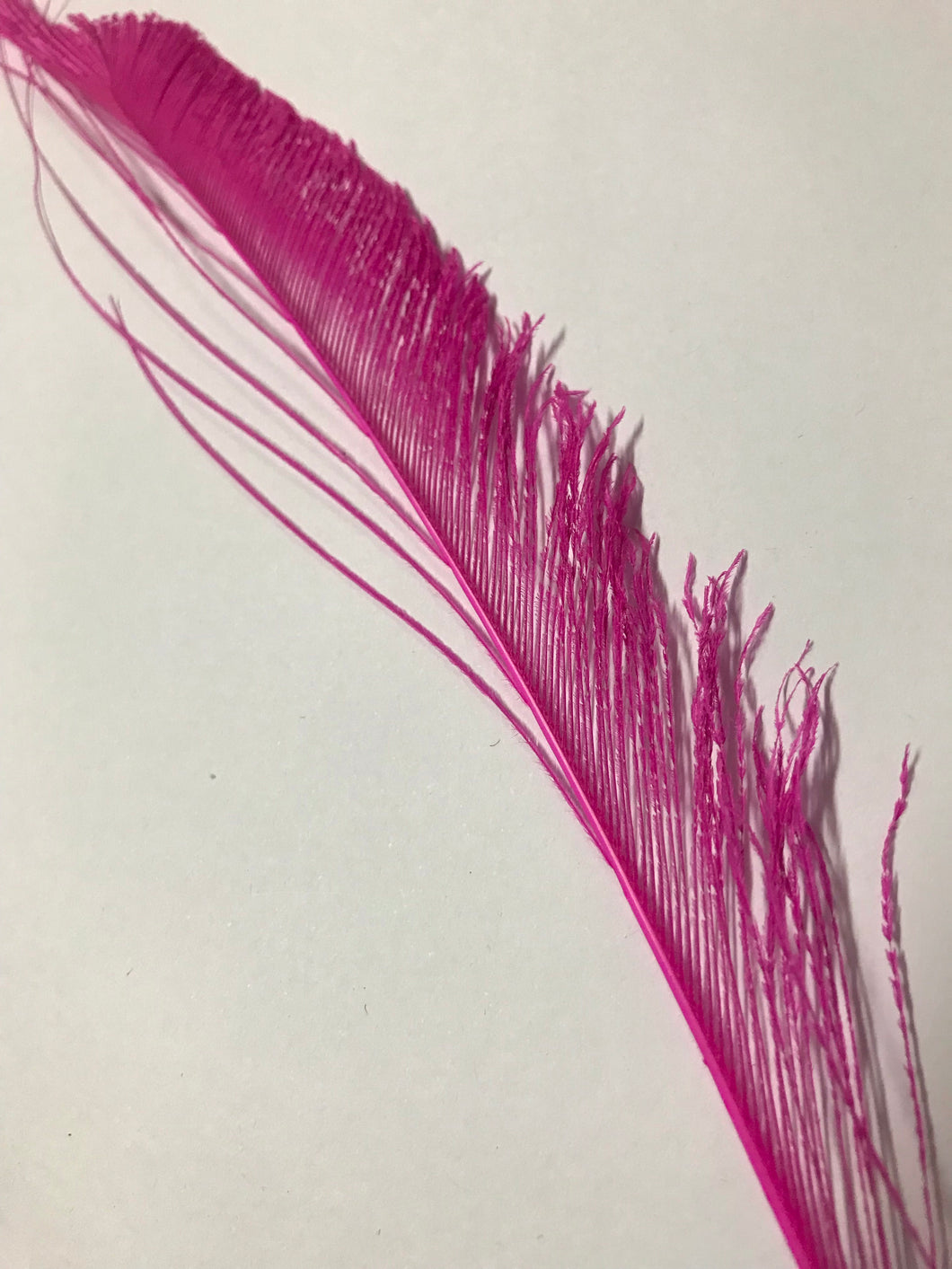 Peacock Sword Magenta (018)