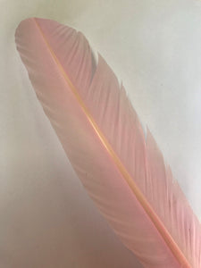 Turkey Wing Feather Pale pink