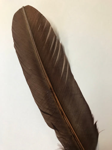 Turkey Wing Feather Brown