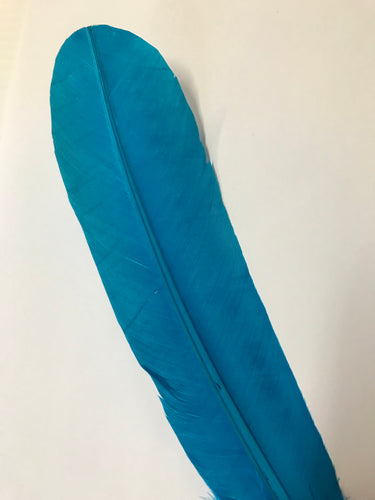 Turkey Wing Feather Turquoise