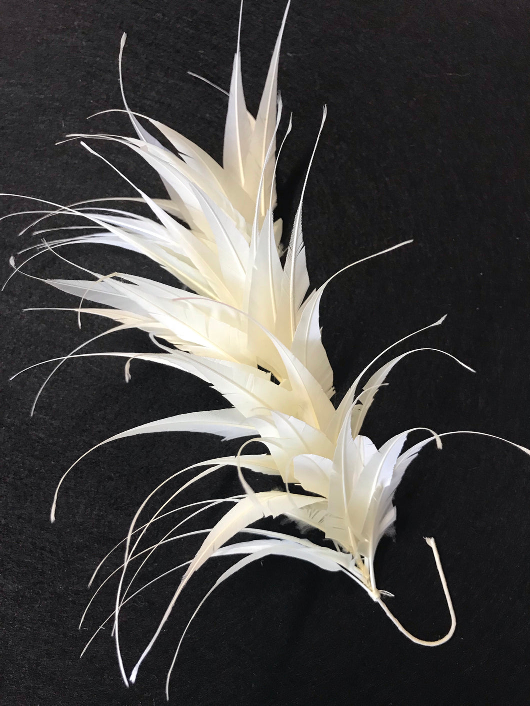 Feather Mount Spike Cream Code F201501