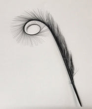 Load image into Gallery viewer, Curly Burnt Pheasant Feather Small Black