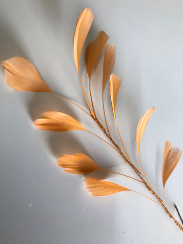 Feather Branch Coral