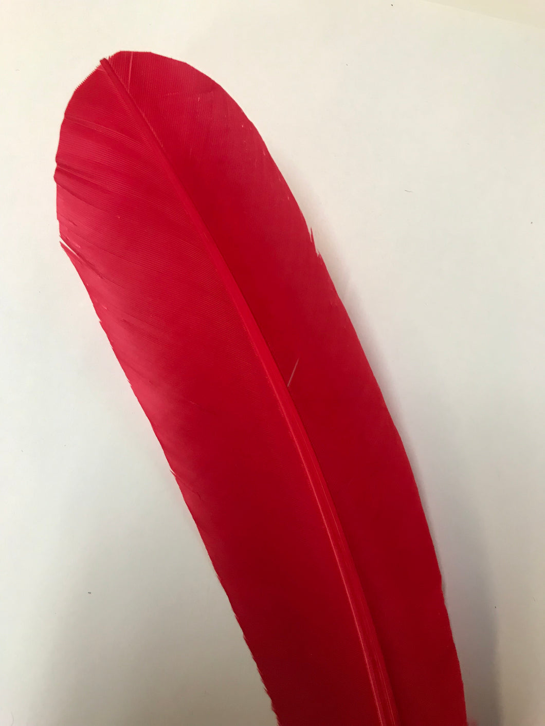 Turkey Wing Feather Dark Red