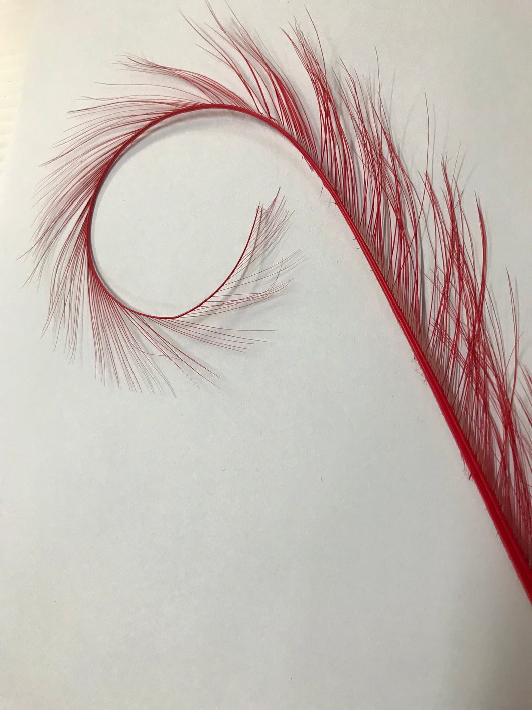 Curly Burnt Pheasant Feather Red