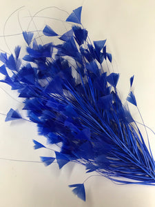 Feather Mount - Ex Large Royal Blue