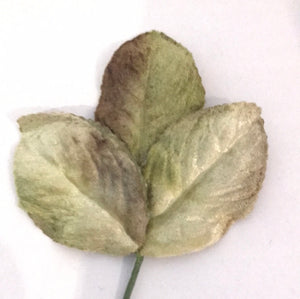 Vintage Velvet Leaves - Green