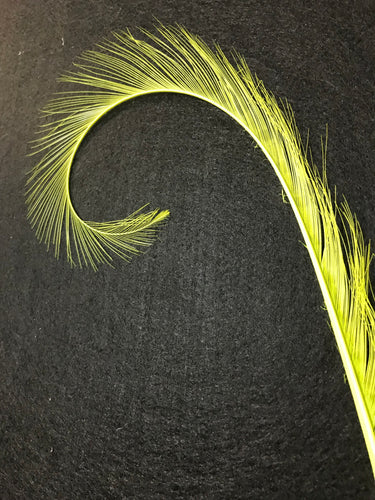 Curly Burnt Pheasant Feather Neon