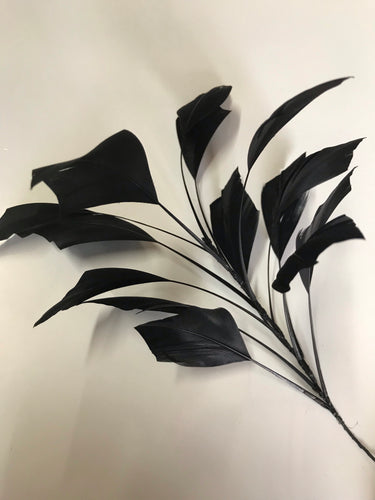 Feather Branch Medium Black