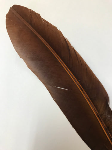 Turkey Wing Feather Bronze