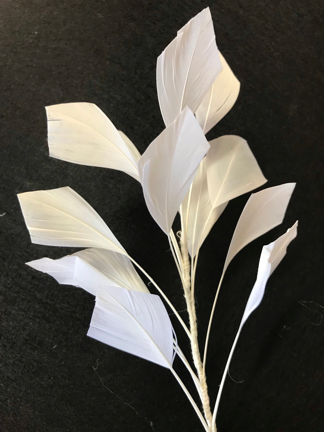 Feather Branch Medium White