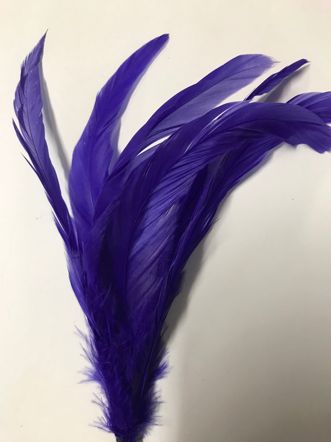 Coque Feathers Non-Stripped Purple