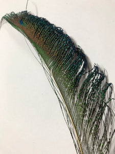 Peacock Sword Natural