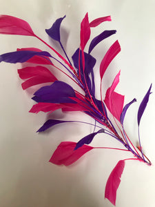 Feather Mount Multi Colour Purple/Pink