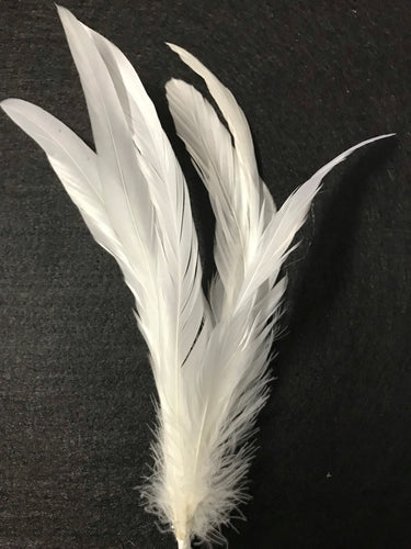 Coque Feathers Non-Stripped White