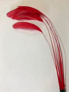 Coque Feathers Stripped Red