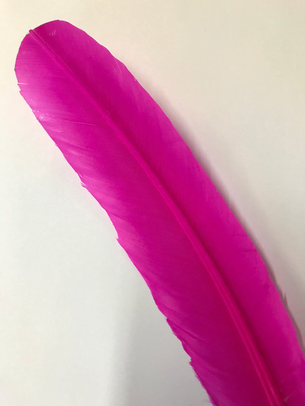 Turkey Wing Feather Hot Pink