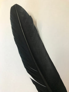 Turkey Wing Feather Black