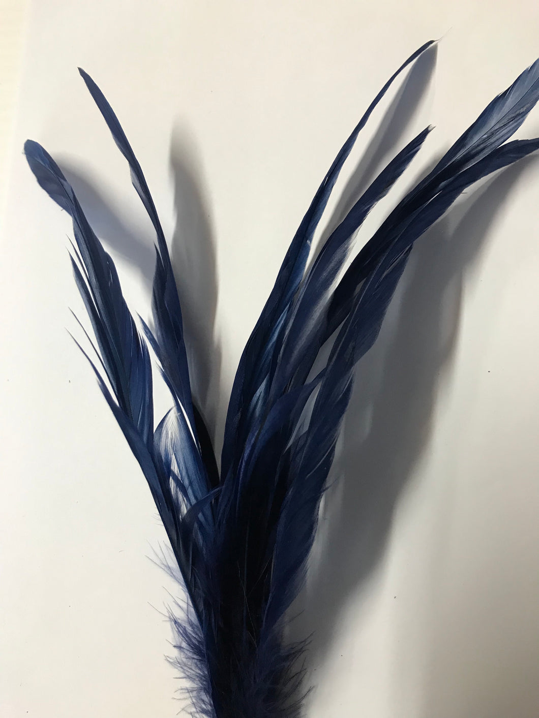 Coque Feathers Non-Stripped Navy