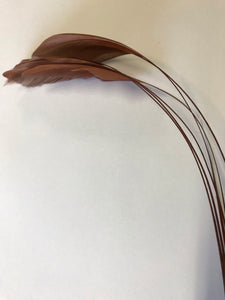 Coque Feathers Stripped Brown