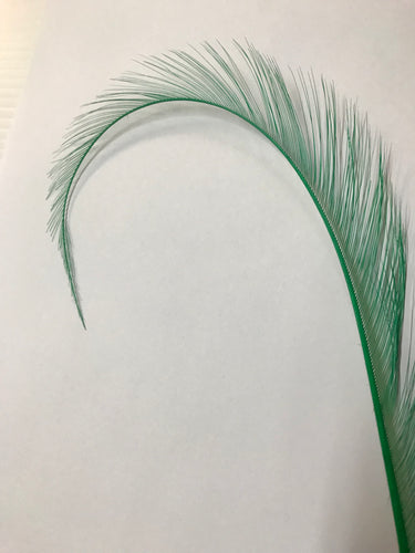 Curly Burnt Pheasant Feather Green