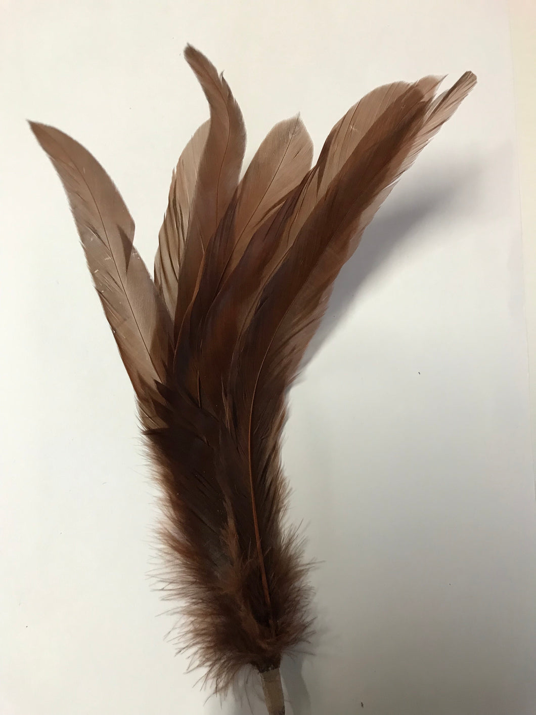 Coque Feathers Non-Stripped Brown