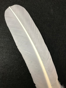 Turkey Wing Feather White