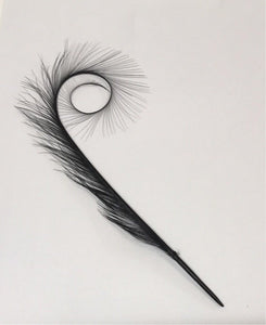 Curly Burnt Pheasant Feather Small Black